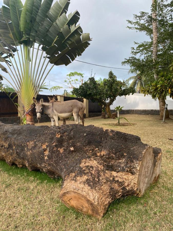 Roca Vale Dos Prazeres Villa Sao Tome Exteriör bild